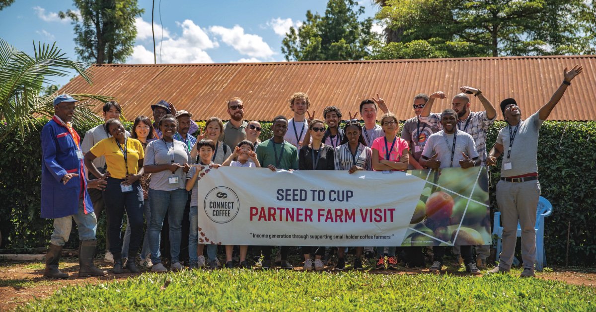 Connect Coffees seed to cup project