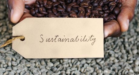 coffee sustainability, connect coffee roasters
